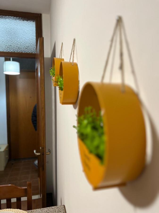San Dona Homely House San Dona di Piave